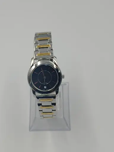 [SG 03.25] Aigner Watch (W) 2 Tone M A14201