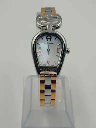 [SG 03.25] Aigner Watch (W) 2 Tone Strap