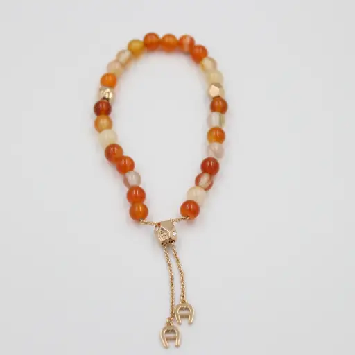 [ARAGB2202505] AIGNER BRACELET ARAGB2202505