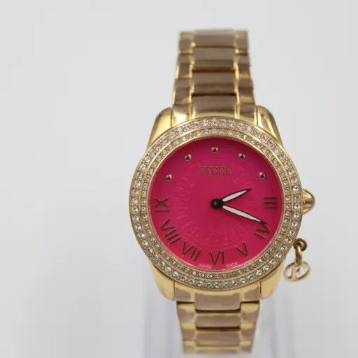 [FM1L1027M0041] FERRE MILANO WATCH FM1L1027M0041