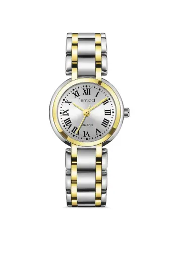 [QC09] FERRUCCI STAINLESS STEEL WATCH FCFQC09