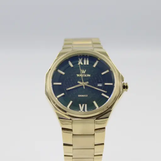 [W1251G.118] WATSON MAN'S WATCH W1251G.118