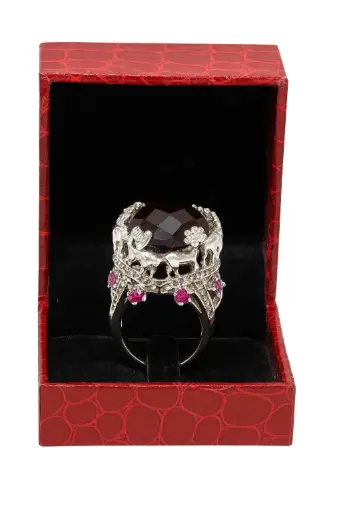 [RIN00111] RING RIN001