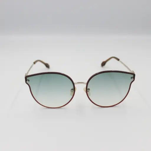 [GFF1181] GF FERRE SUNGLASS GFF1181