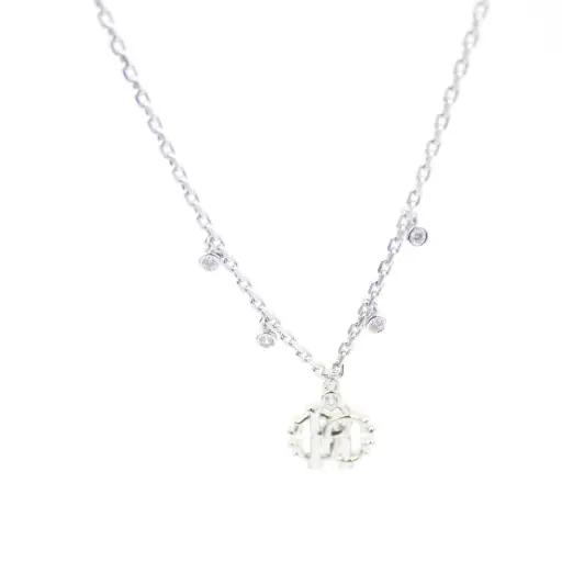 [RCBR00313100] Roberto Cavalli Bracelet RCBR00313100