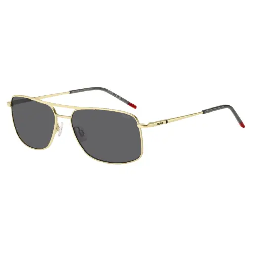 [HG 1287/S] Hugo Boss Gold Grey Sunglasses Man