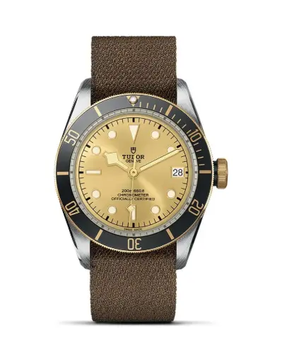 [M797733N] Tudor Men's Watch