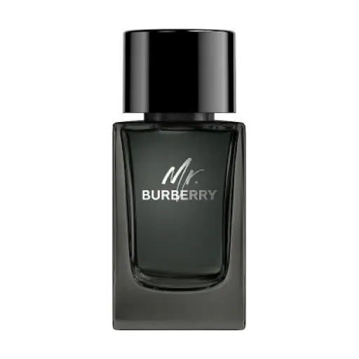 Burberry Mr. Burberry Silver Eau de Parfum 100ml Tester